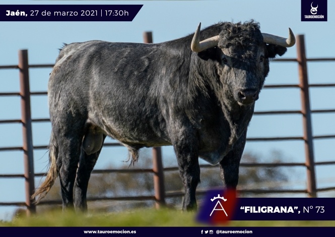 Seria 'victorinada' para Jaén
